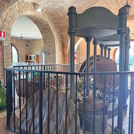 Hotel Vecchio Frantoio Rosa Martinsicuro